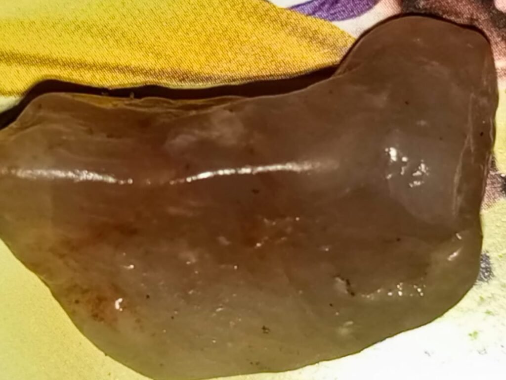 whatsapp image 2026 01 24 at 8.40.32 pm